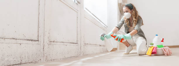 Best Mold Removal for HVAC Installations  in Cedar Grove, FL